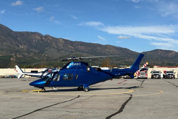 WhatsApp Image 2026-01-13 at 08.24.02