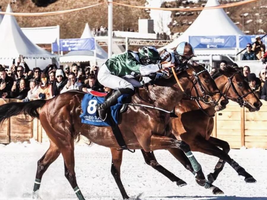 Volare Returns to White Turf St. Moritz for 2026