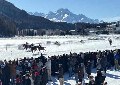 Volare Returns to White Turf St. Moritz for 2026