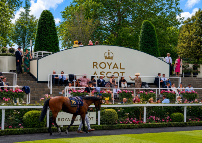 Royal Ascot Goes Green: Volare Aviation Racehorse, Fandom Makes his Royal Ascot Debut Supported by the Volare Team